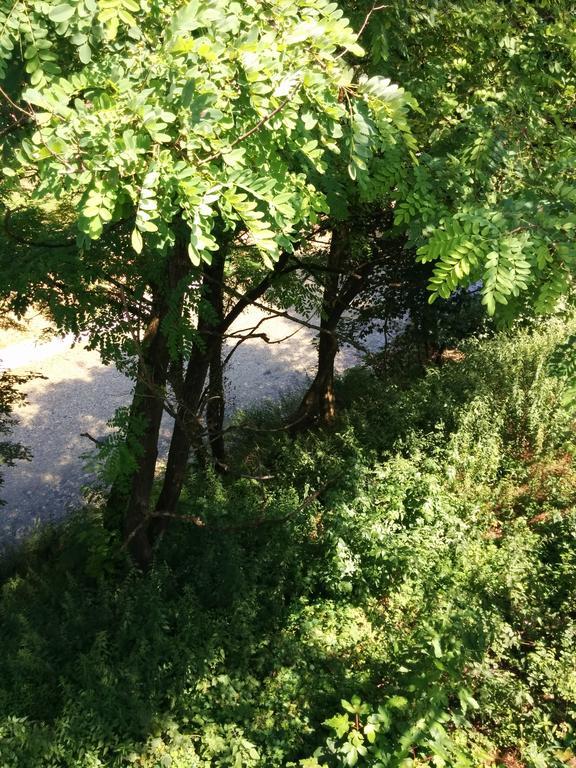 Casetta Next To The Creek Dino Buzzati Belluno Room photo